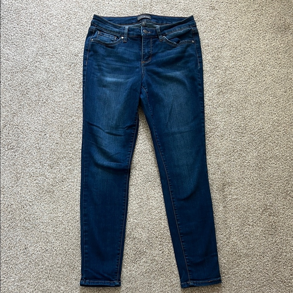 The Limited Blue Skinny Jeans Classic Fit